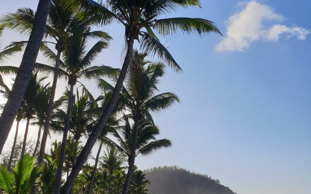 Plage de Grande Anse, Ile de La Réunion