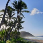 Découvrez la plage de Grande Anse et le Piton Grande Anse : Un petit coin de paradis au Sud de La Réunion