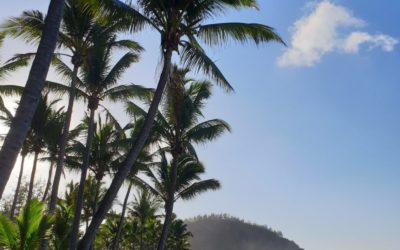 Découvrez la plage de Grande Anse et le Piton Grande Anse : Un petit coin de paradis au Sud de La Réunion